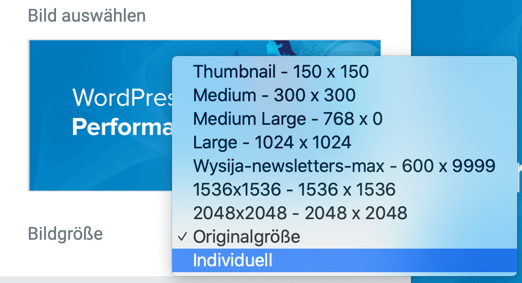 WordPress Bilder richtig skalieren mit der Elementor Option Bildgröße Individuell